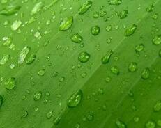 斗鱼直播app下载（海信电视怎么下载斗鱼直播）