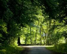 99nets.com（天堂2第七章单机版进不去的问题，大家帮忙看看）